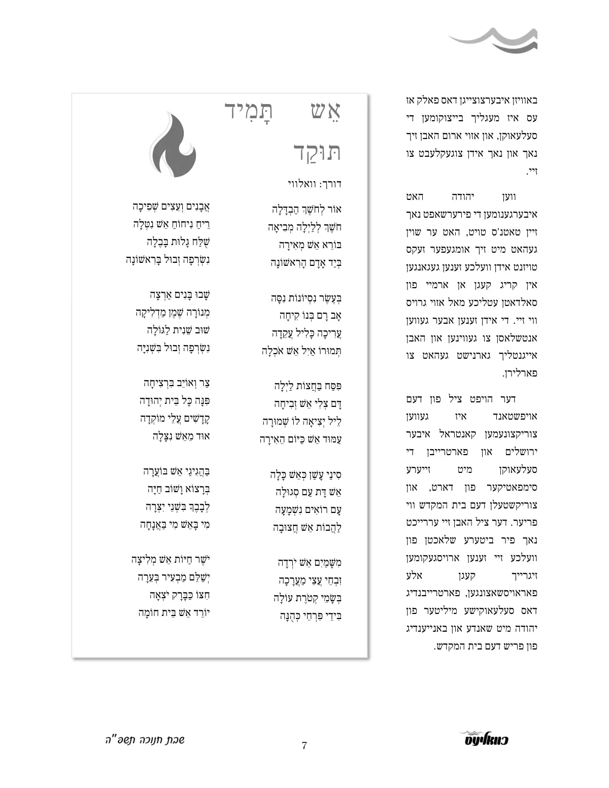 זייט 7