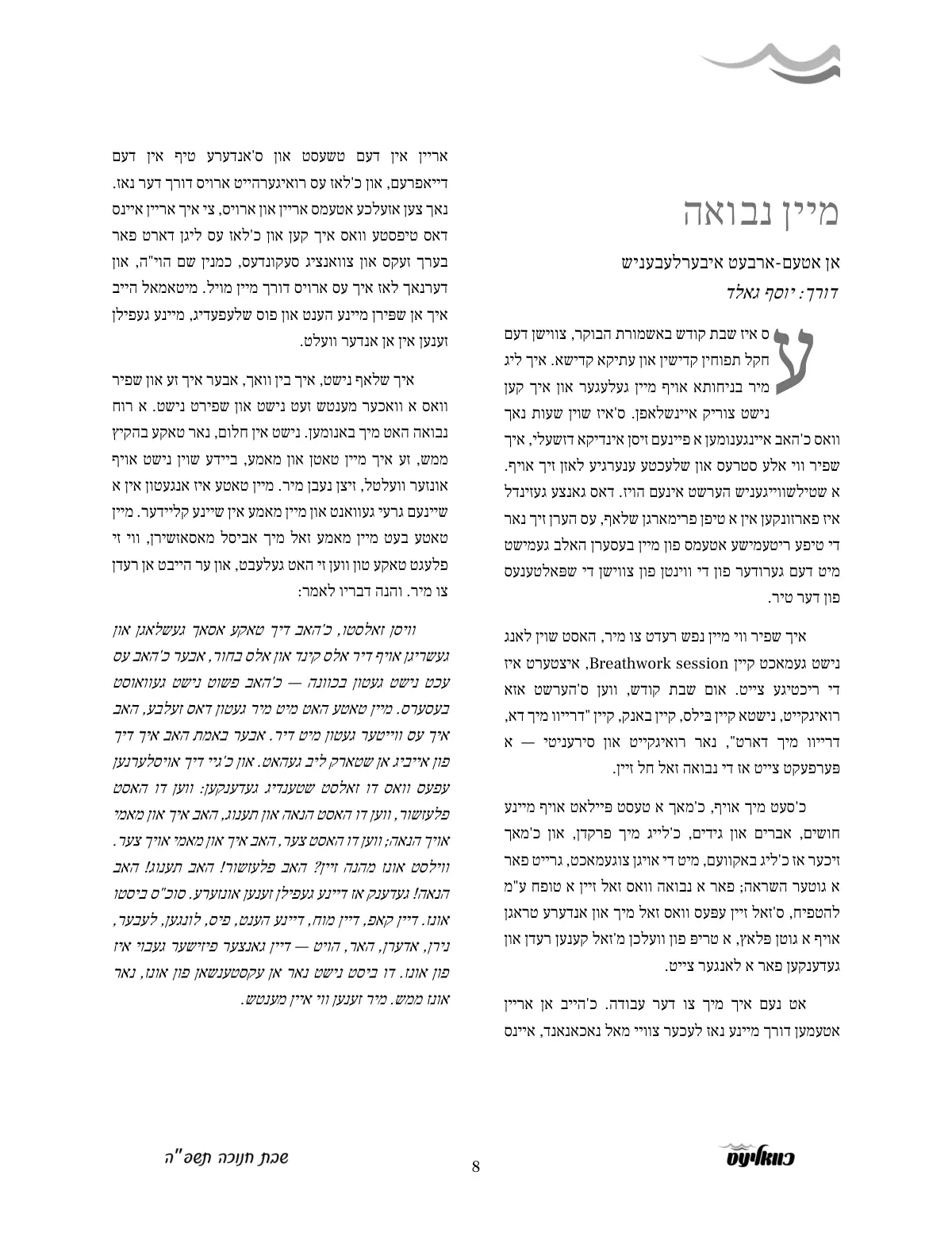 זייט 8