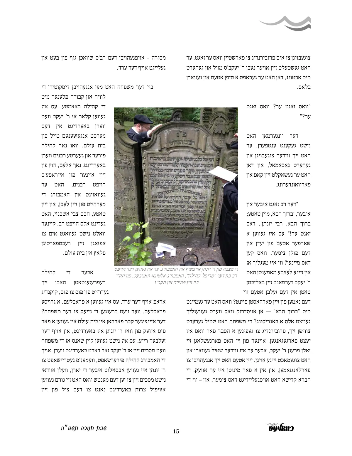 זייט 15