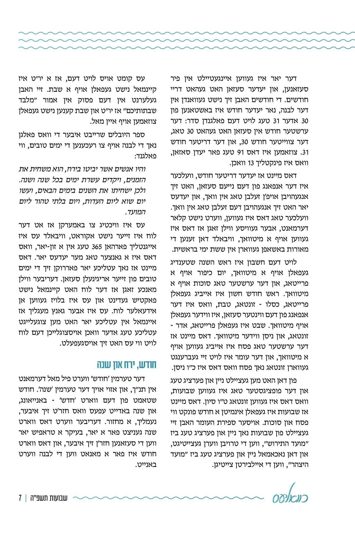 זייט 7