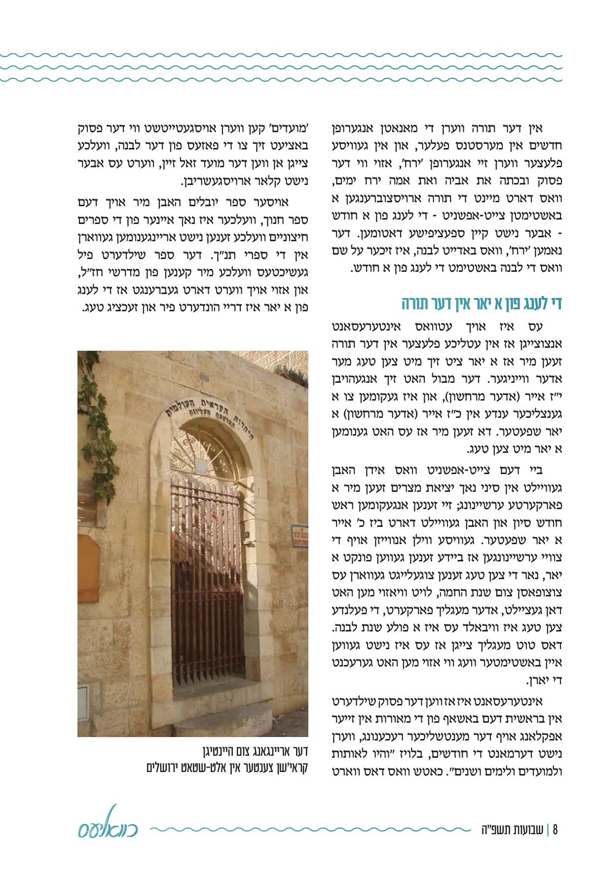 זייט 8