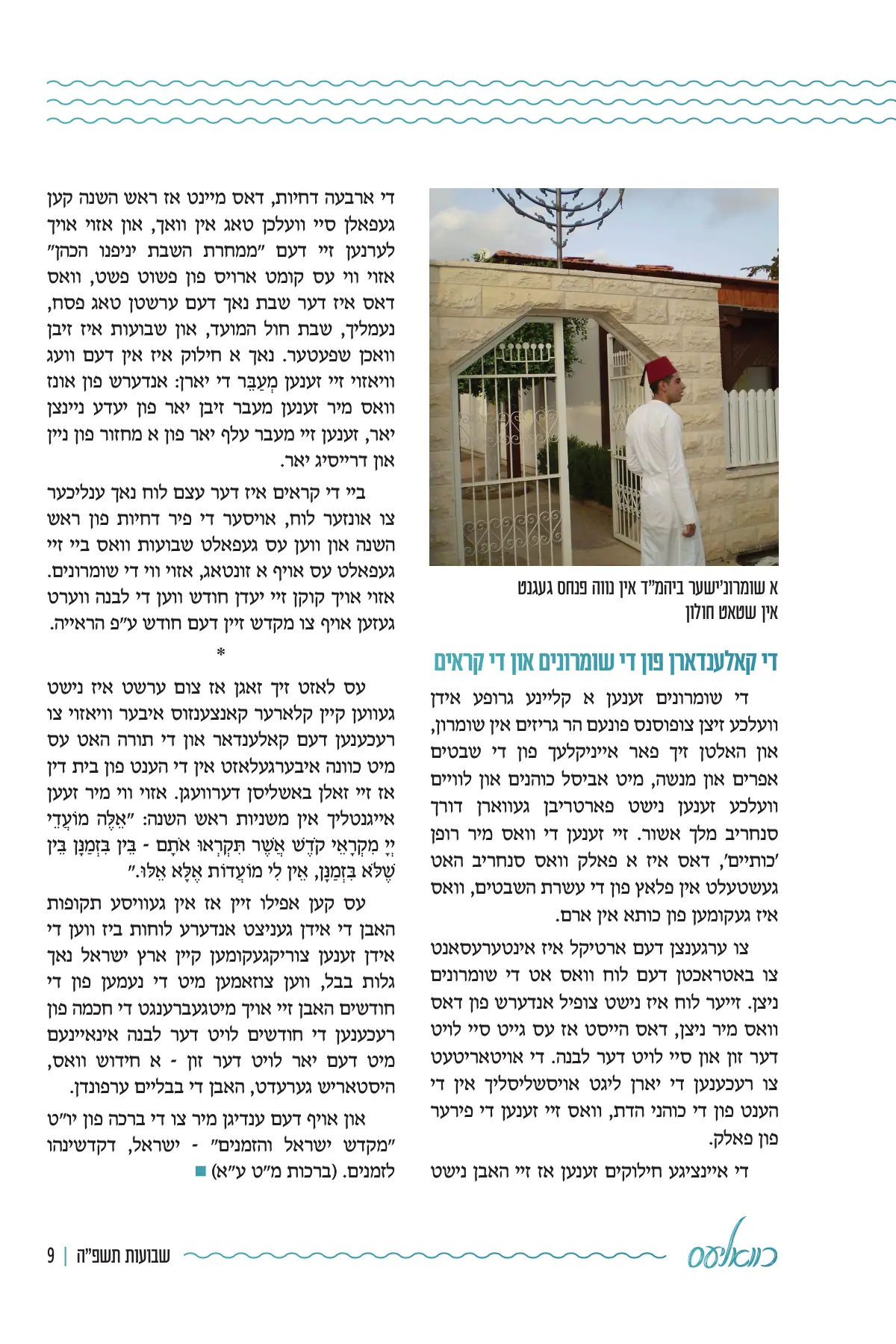 זייט 9