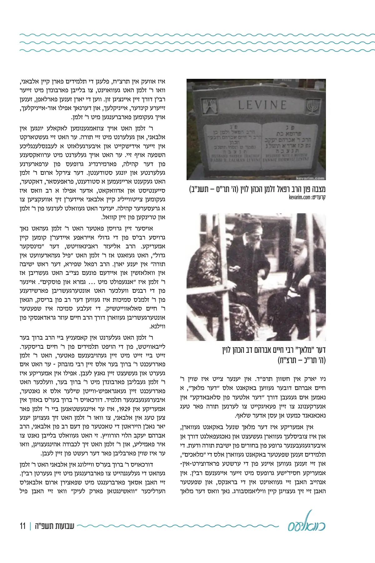 זייט 11