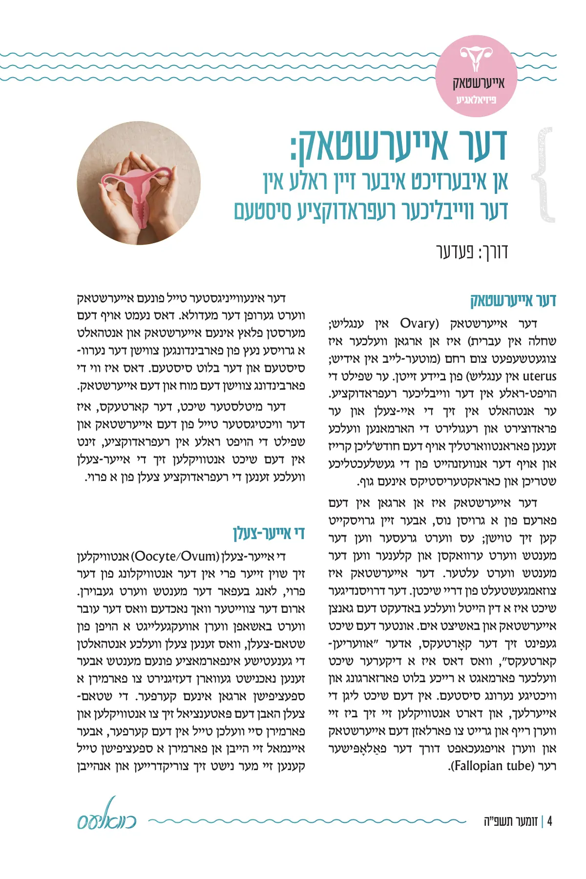 זייט 4