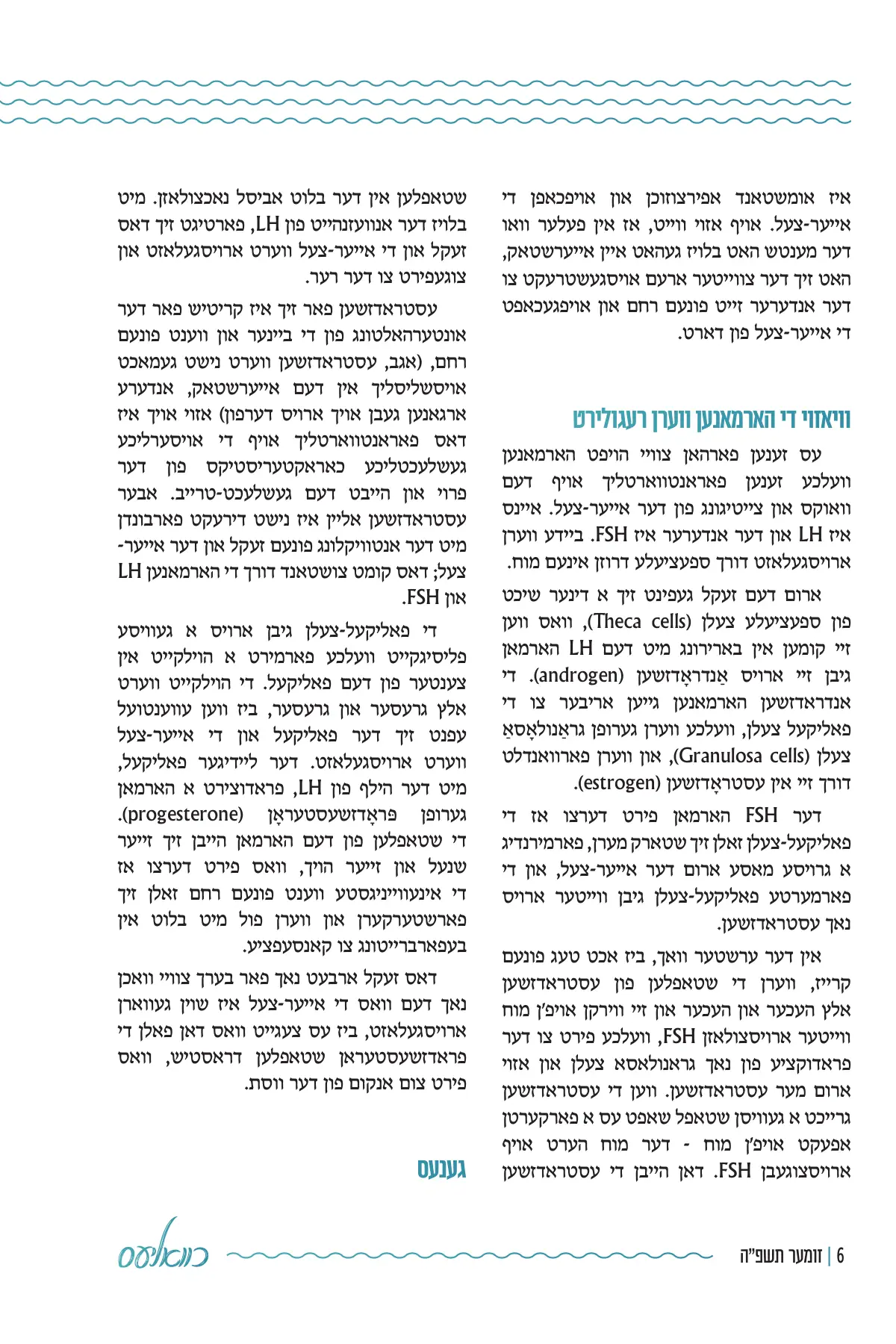 זייט 6