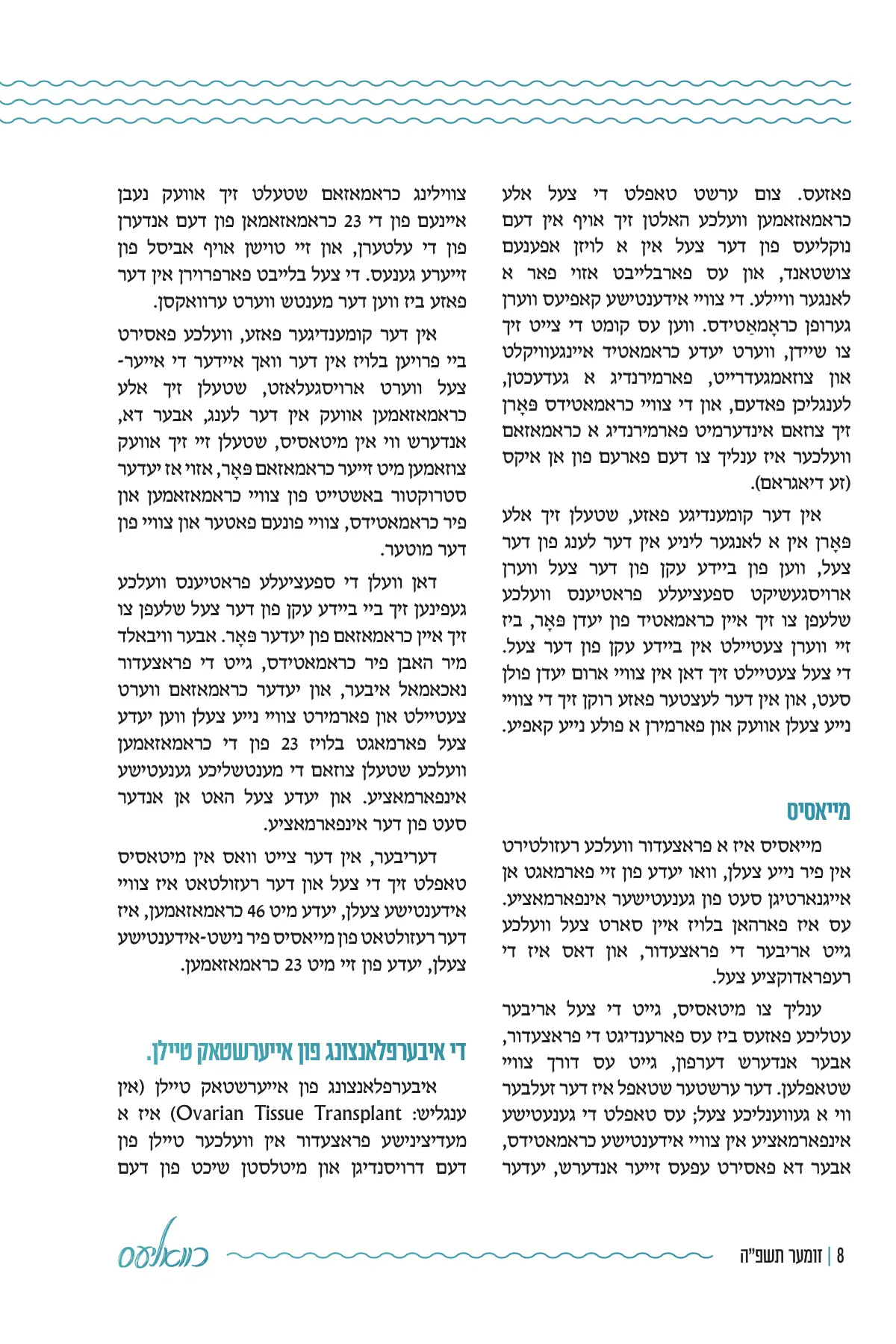זייט 8