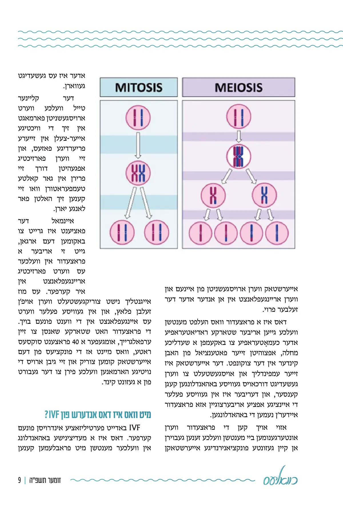 זייט 9
