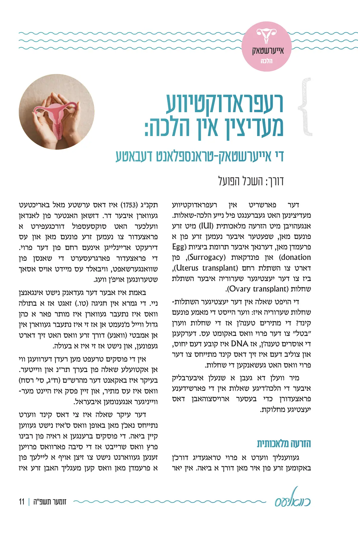 זייט 11