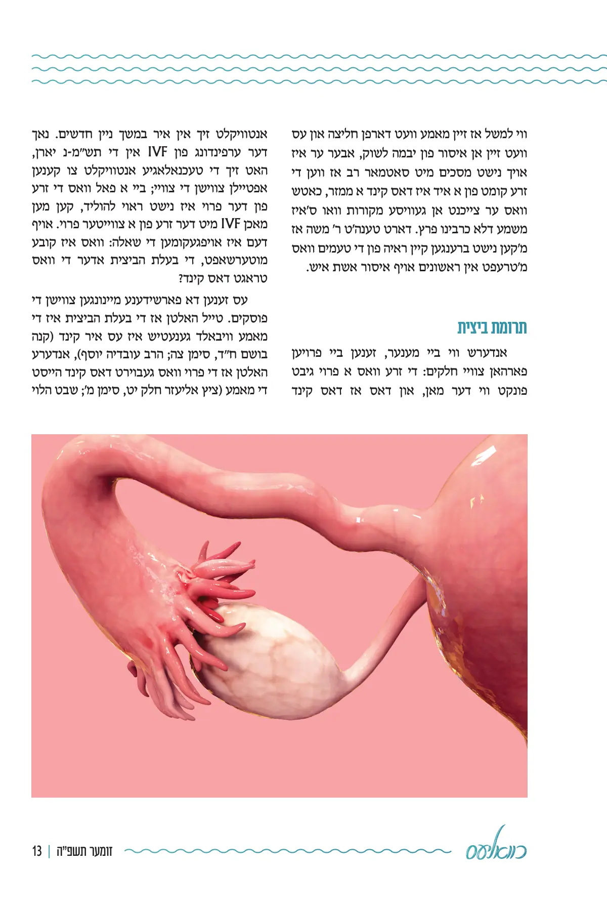 זייט 13