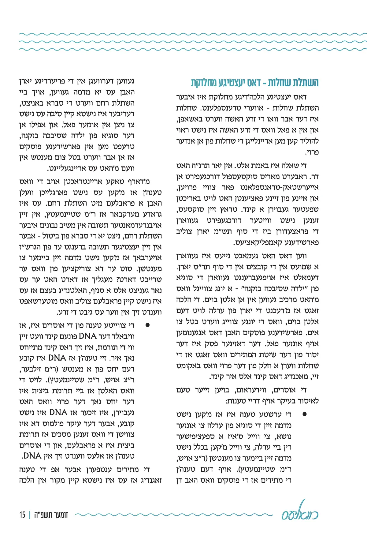 זייט 15