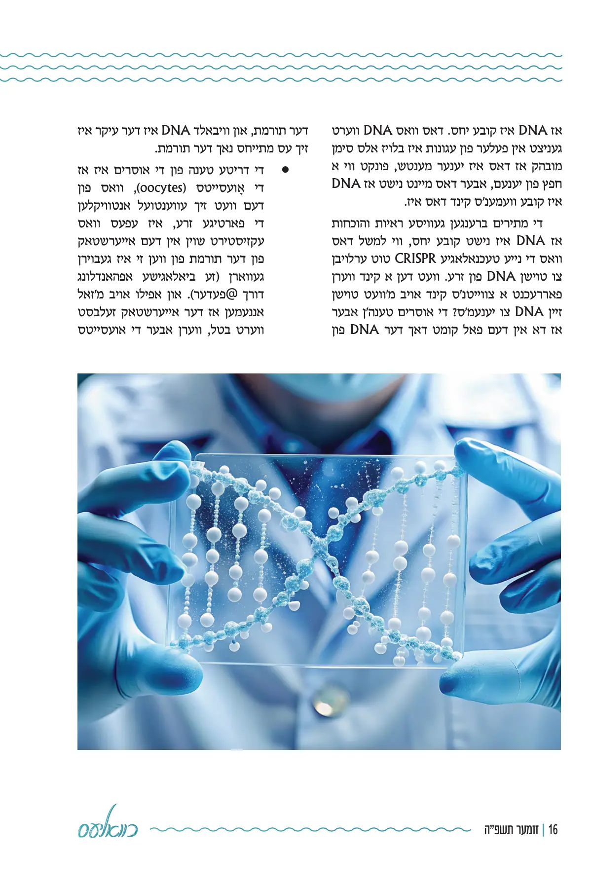 זייט 16