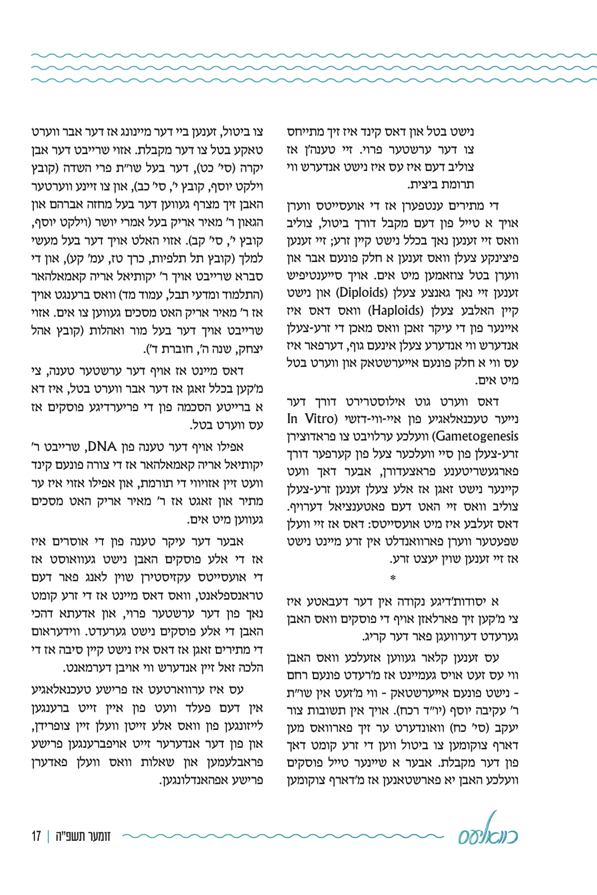 זייט 17
