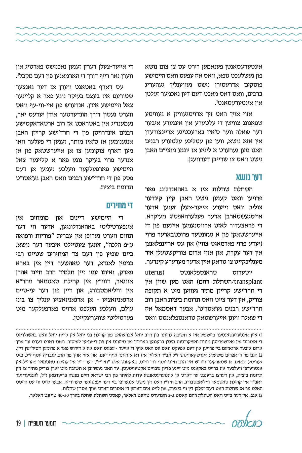 זייט 19