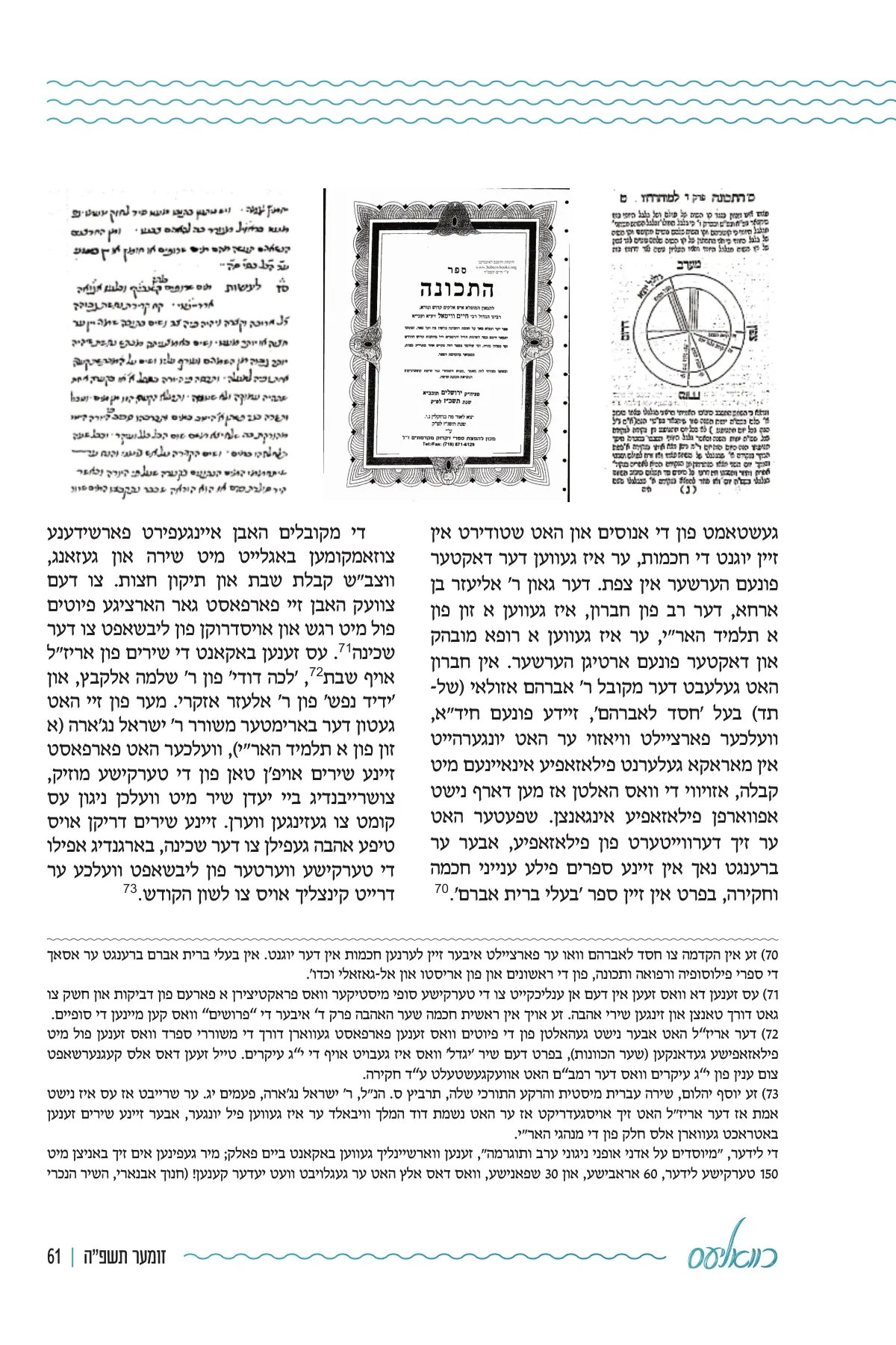 זייט 61